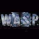 photo - wasp2-jpg